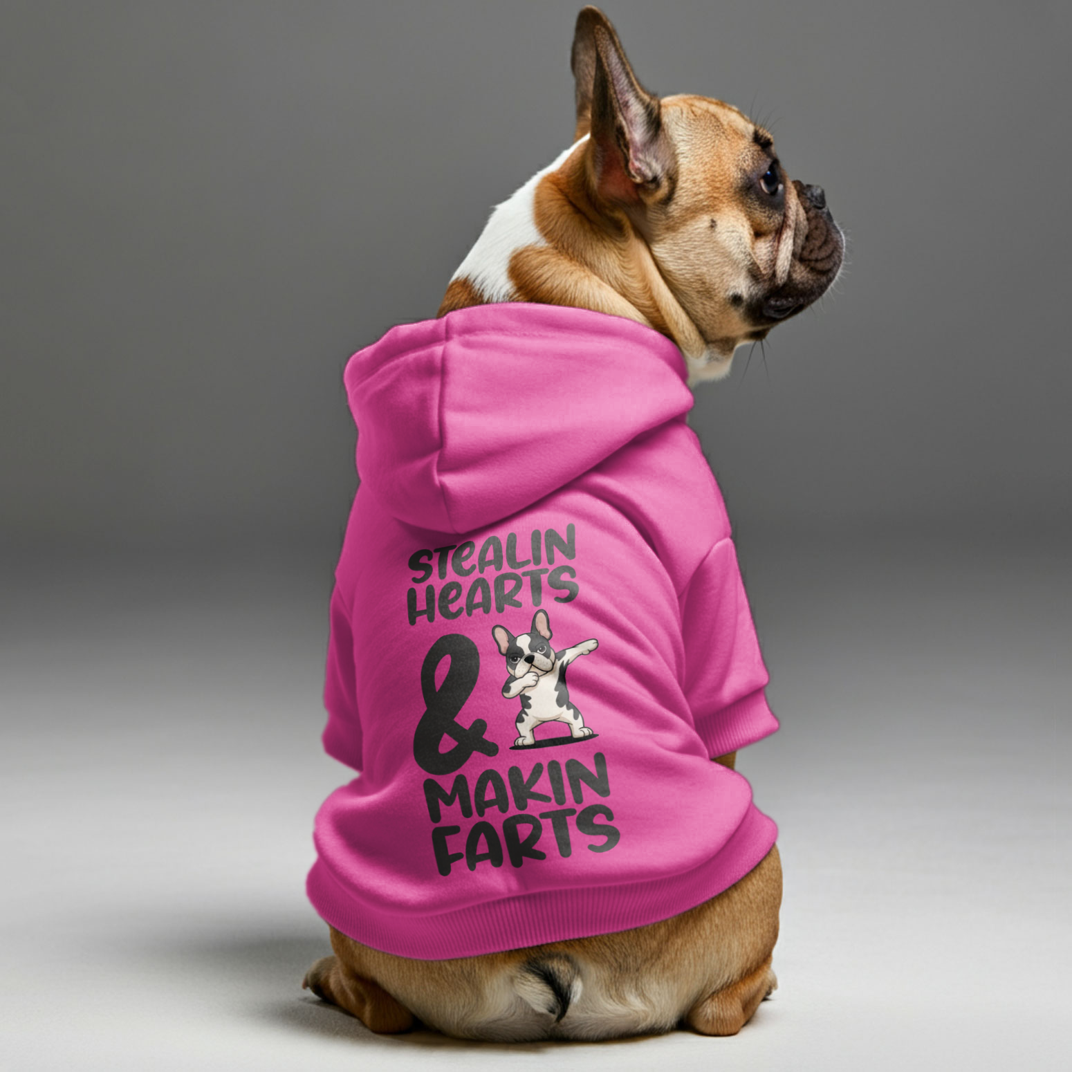 French Bulldog Cozy Pet Parent Pullover for Everyday Wear-fadou