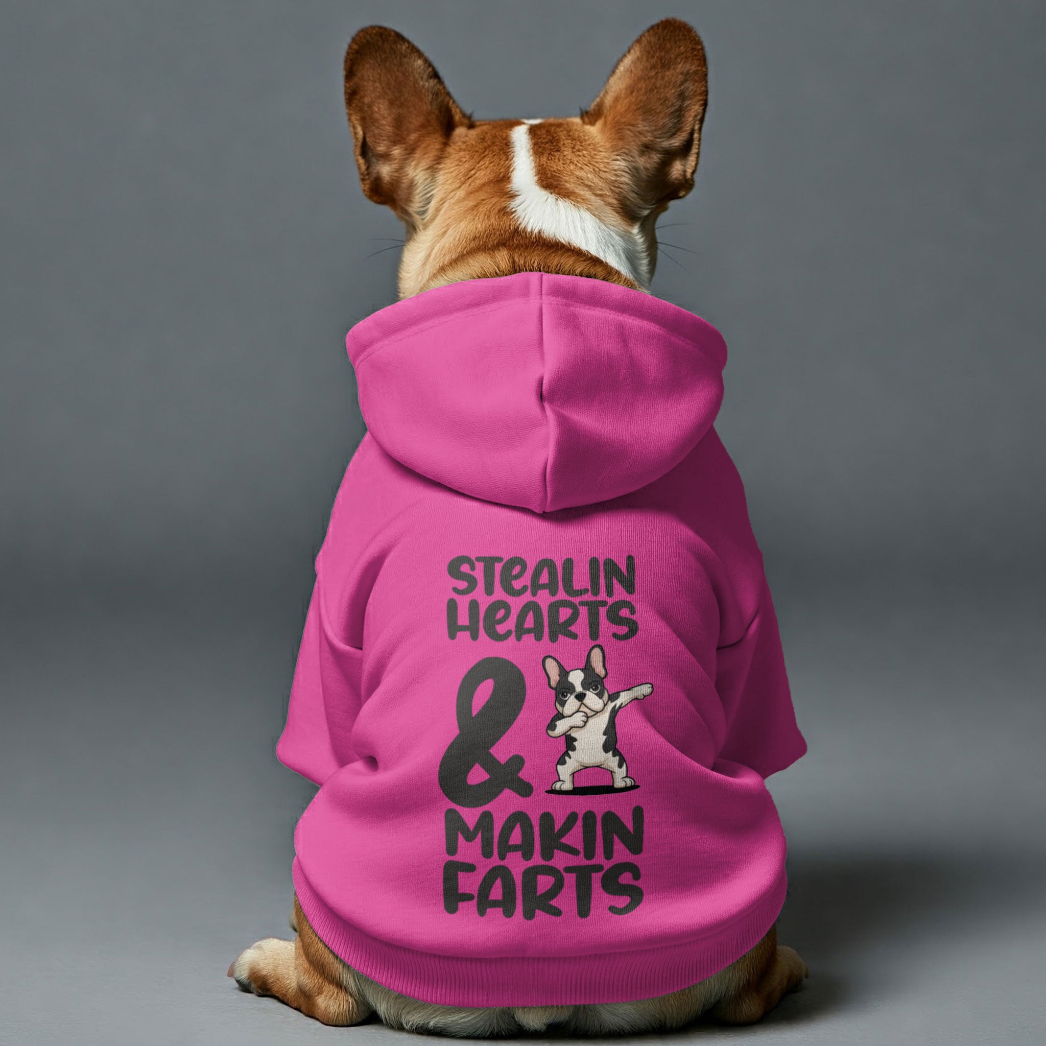 French Bulldog Cozy Pet Parent Pullover for Everyday Wear-fadou