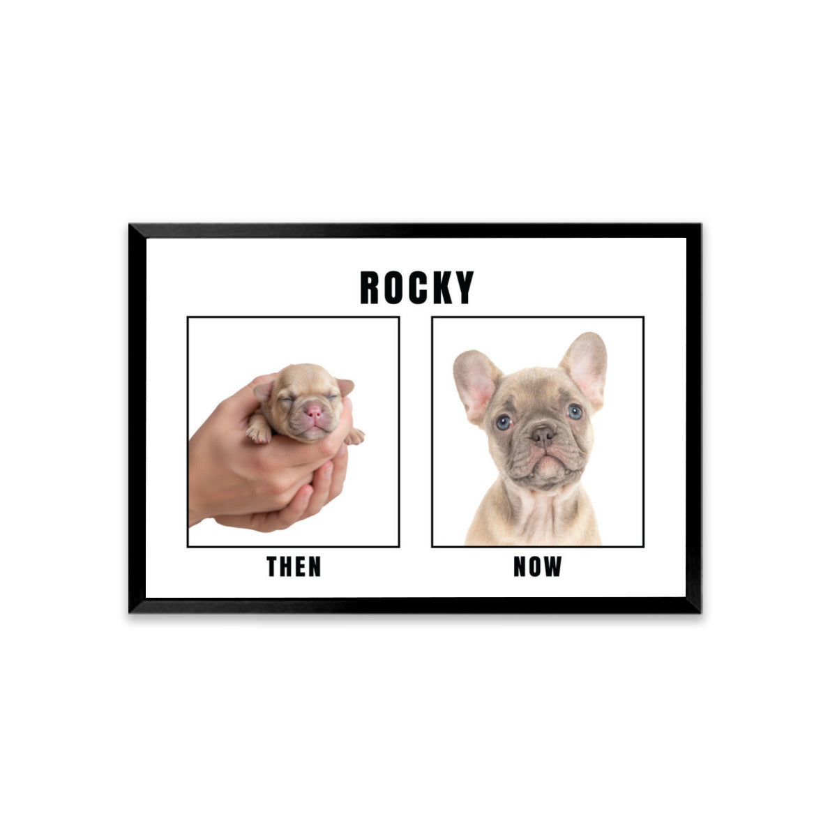 French Bulldog Personalized Canvas Wall Art for Dog Lovers-fadou