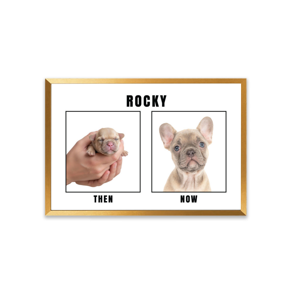 French Bulldog Personalized Canvas Wall Art for Dog Lovers-fadou