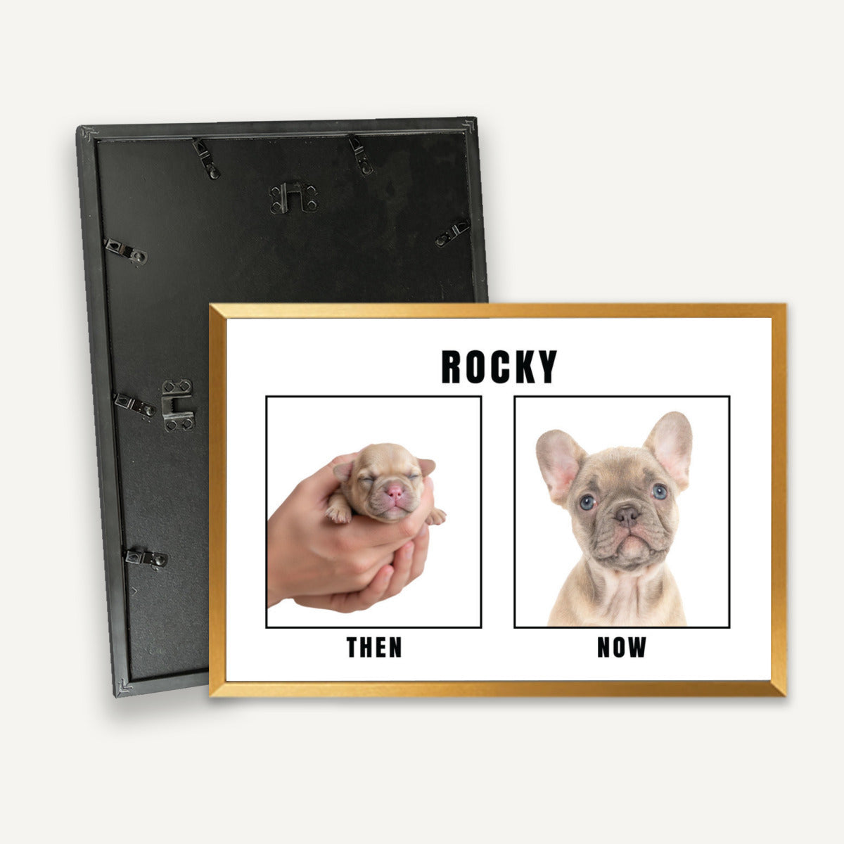 French Bulldog Personalized Canvas Wall Art for Dog Lovers-fadou