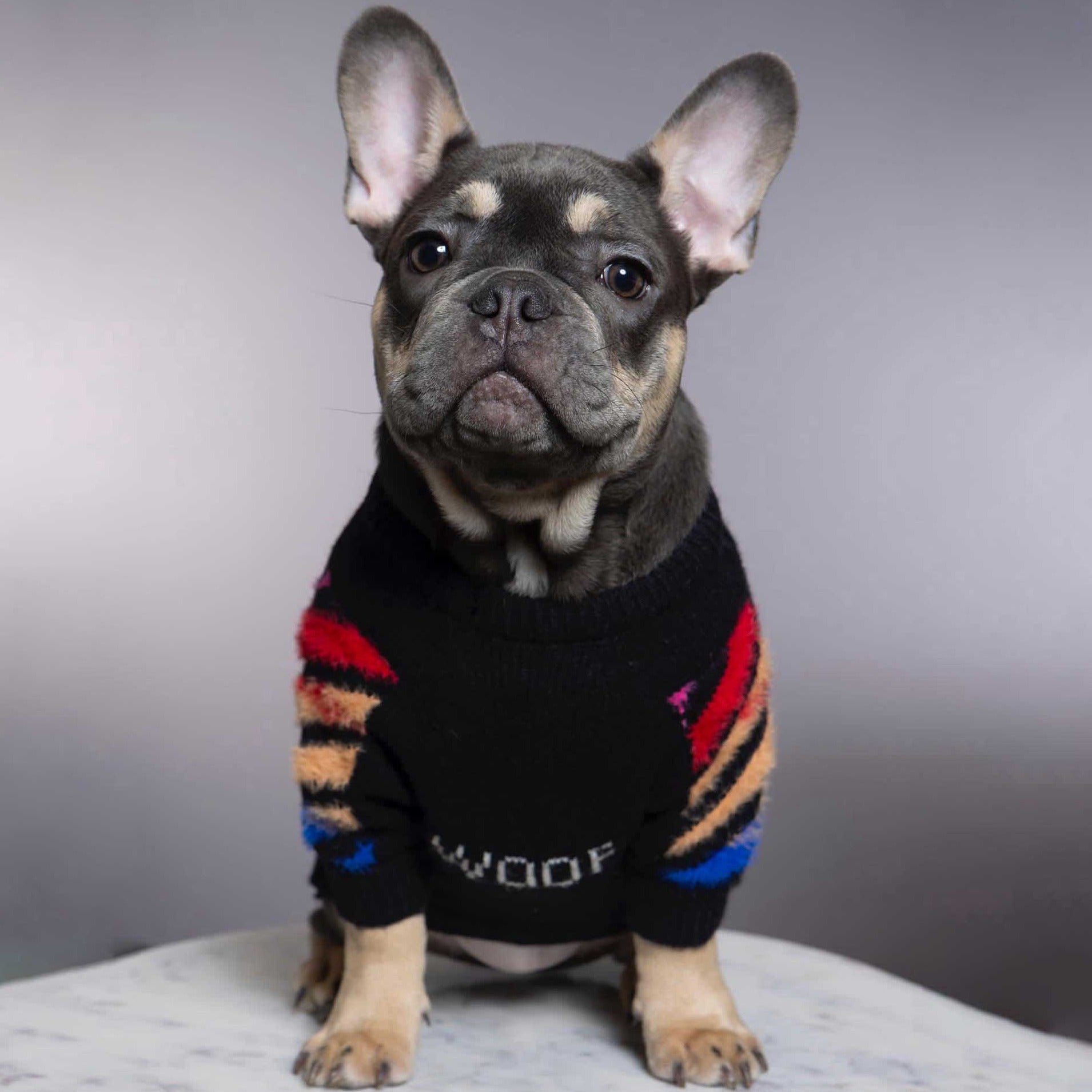 Frenchup™ - Frenchie Woof Winter Sweater for Frenchie Fans-fadou