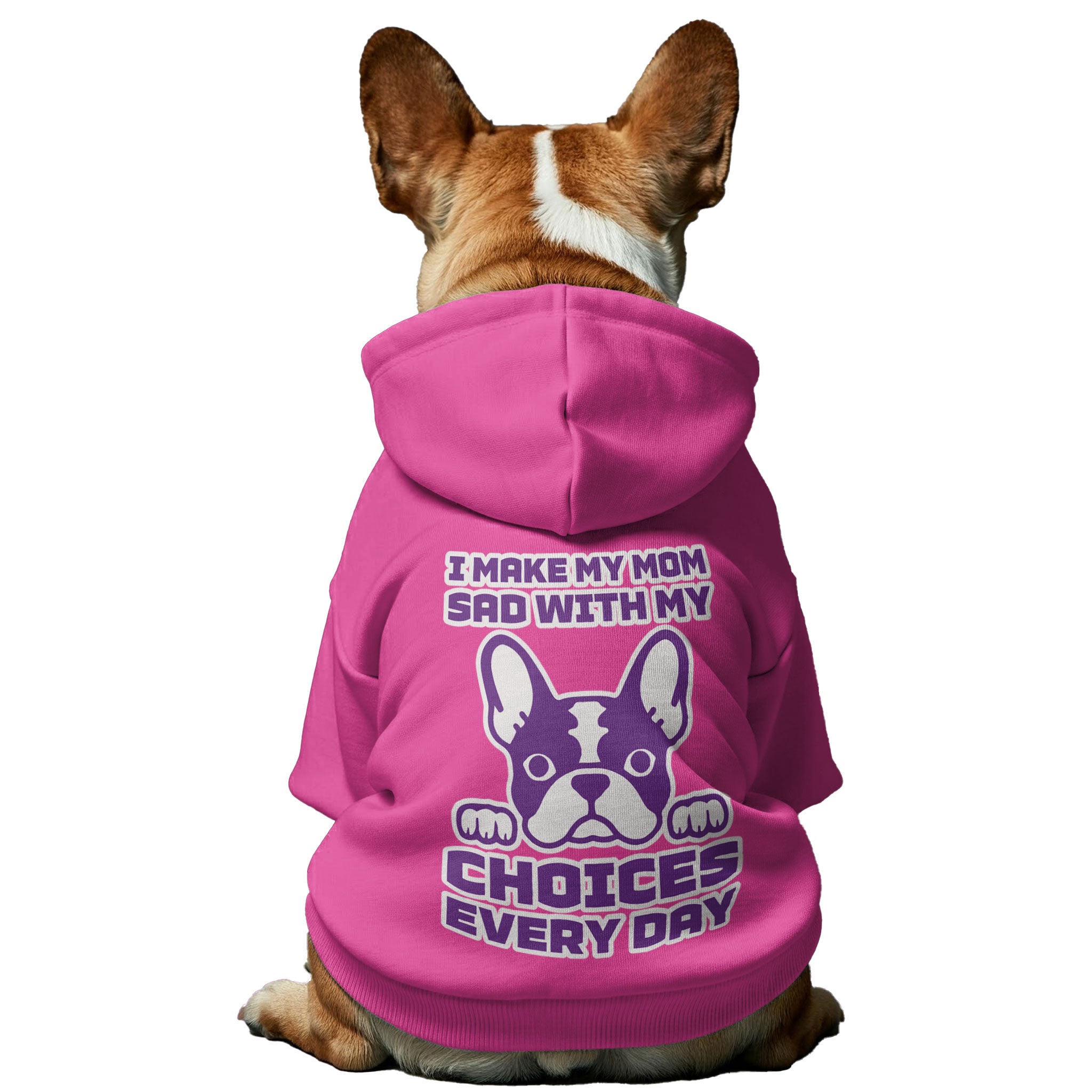 French Bulldog Personalized Cozy Hoodie for Playtime Fun-fadou