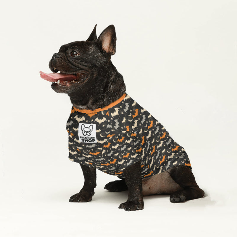 Ziggy French Bulldog Knit Sweater for Outdoor Adventures-fadou