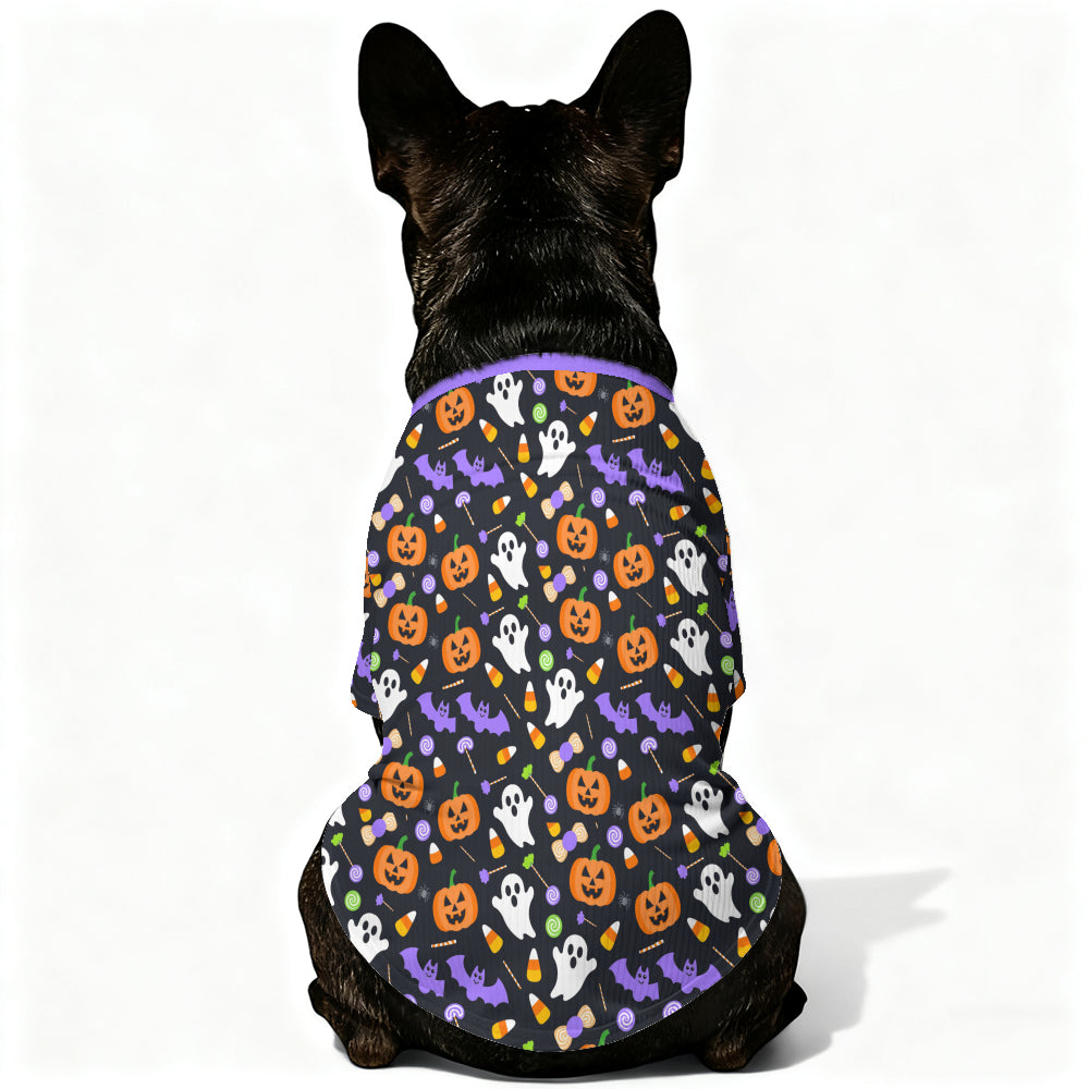 Zuma French Bulldog Warm Knitwear for Training Sessions-fadou
