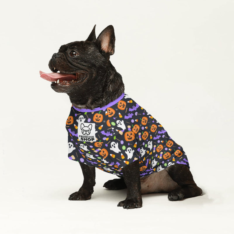 Zuma French Bulldog Warm Knitwear for Training Sessions-fadou