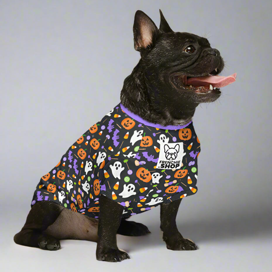 Zuma French Bulldog Warm Knitwear for Training Sessions-fadou