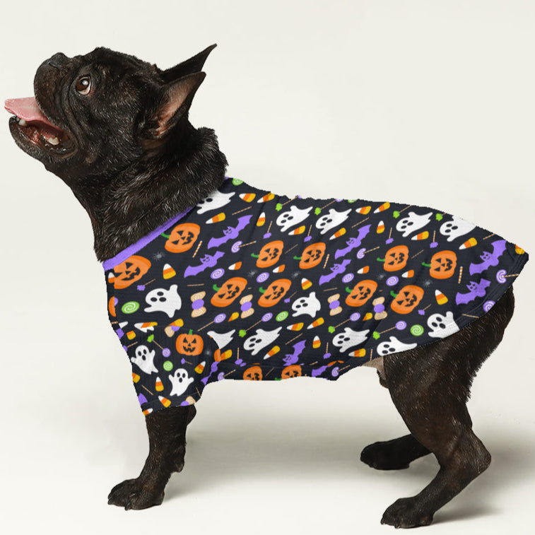 Zuma French Bulldog Warm Knitwear for Training Sessions-fadou