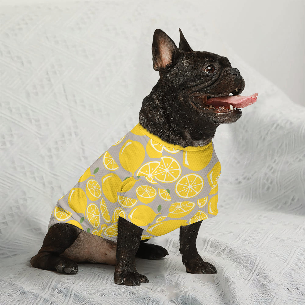 Luca French Bulldog Knit Sweater for Outdoor Adventures-fadou