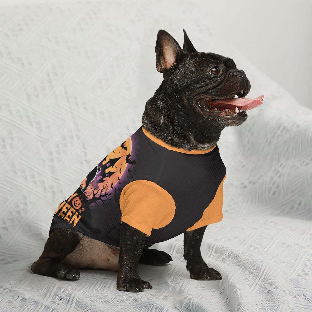 Sheila French Bulldog Warm Knitwear for Outdoor Adventures-fadou