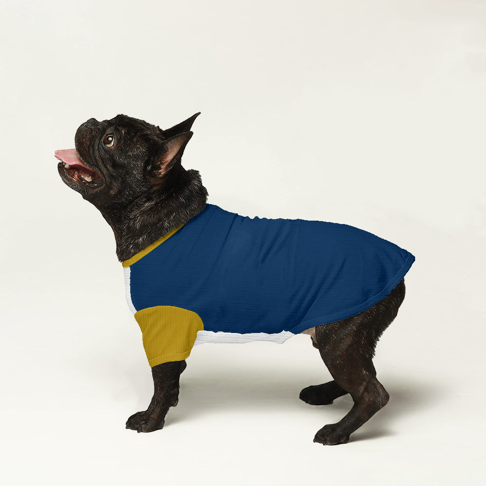 Mazie French Bulldog Warm Knitwear for Outdoor Adventures-fadou