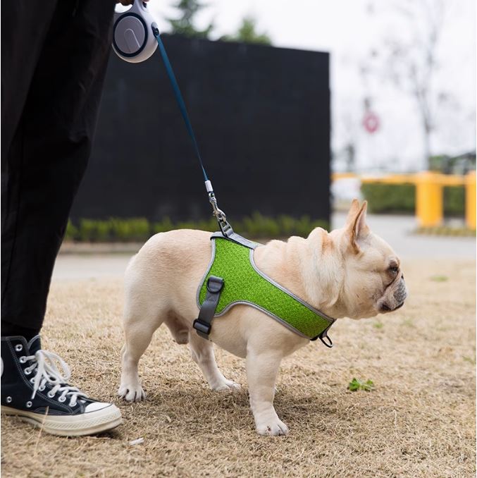 French Bulldog Premium Dog Harness for Brachycephalic Dogs-fadou