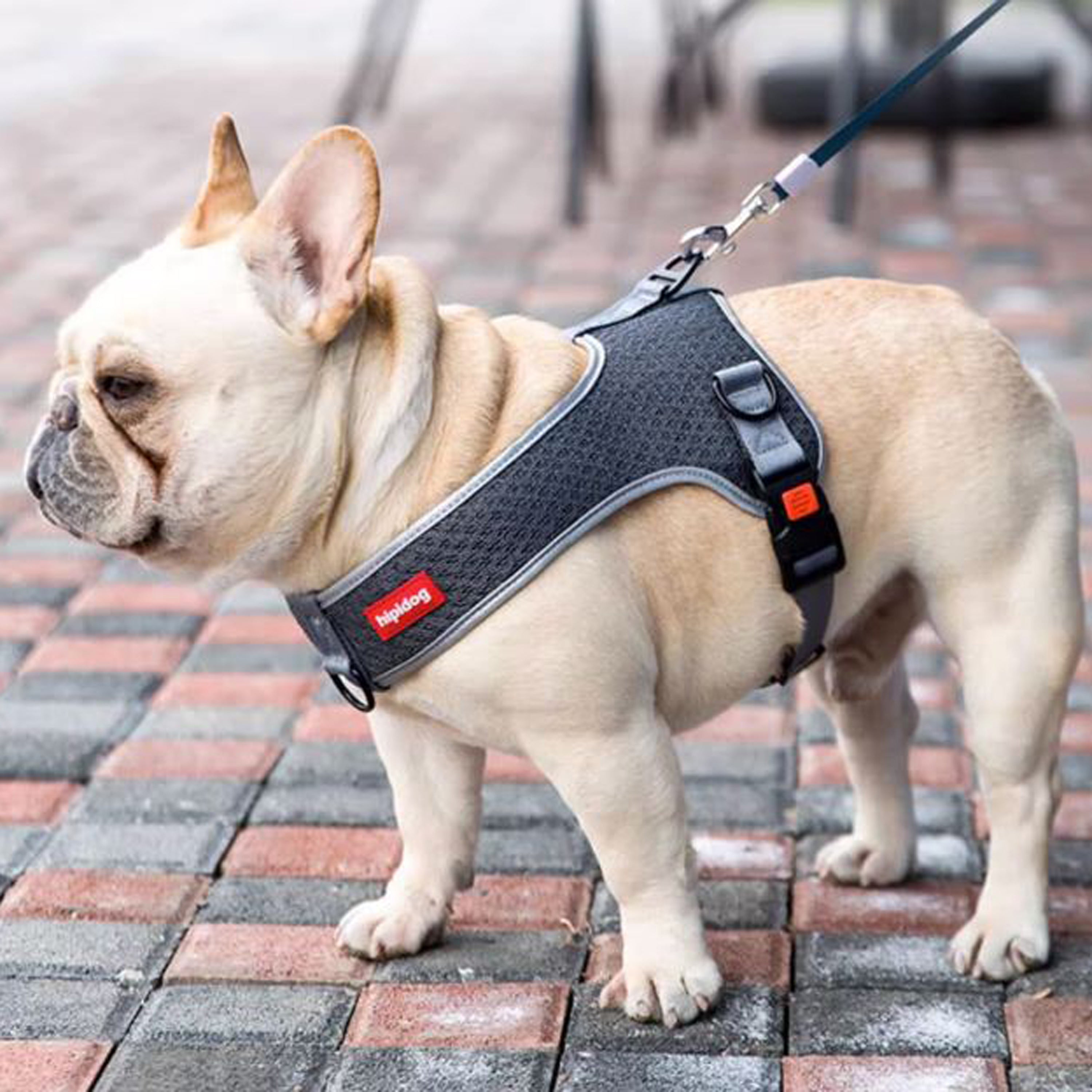French Bulldog Premium Dog Harness for Brachycephalic Dogs-fadou