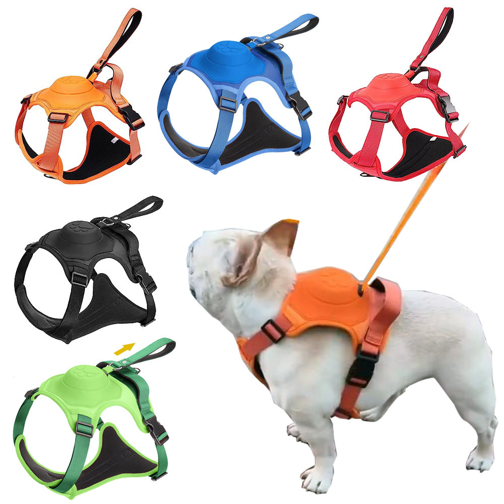 BulldogBound Frenchie Walking Harness for Travel Comfort-fadou
