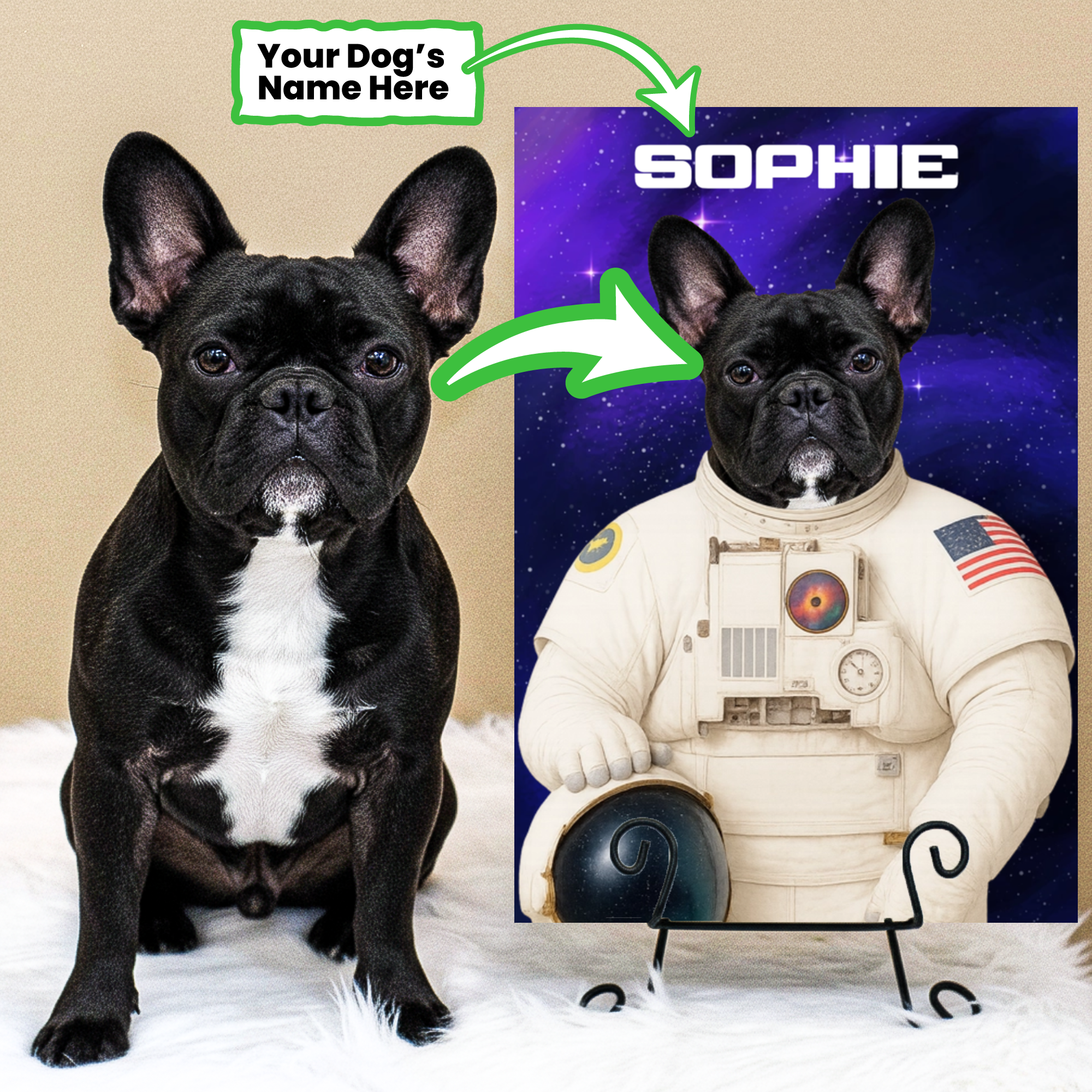 Frenchie Personalized Accessory for Frenchie Enthusiasts-fadou