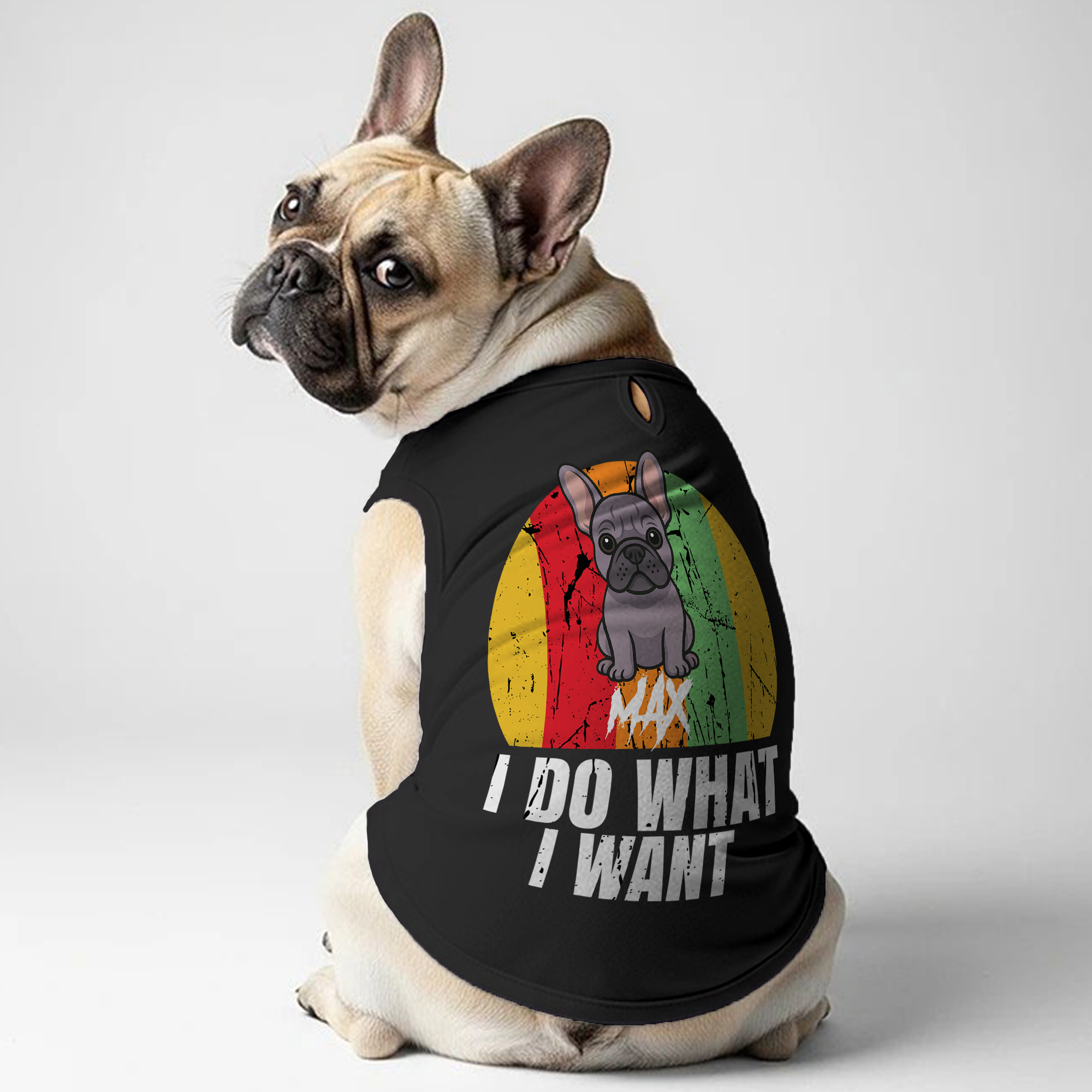 Custom Personalized Graphic Tee for Frenchie Enthusiasts-fadou
