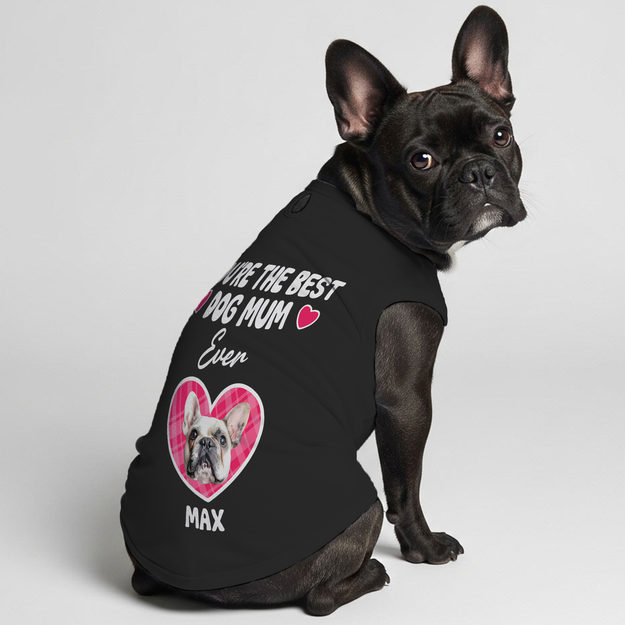 French Bulldog Personalized Graphic Tee for Dog Park Days-fadou