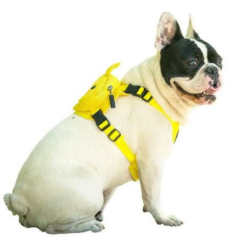 French Bulldog Backpack Harness Set for Outdoor Adventures-fadou