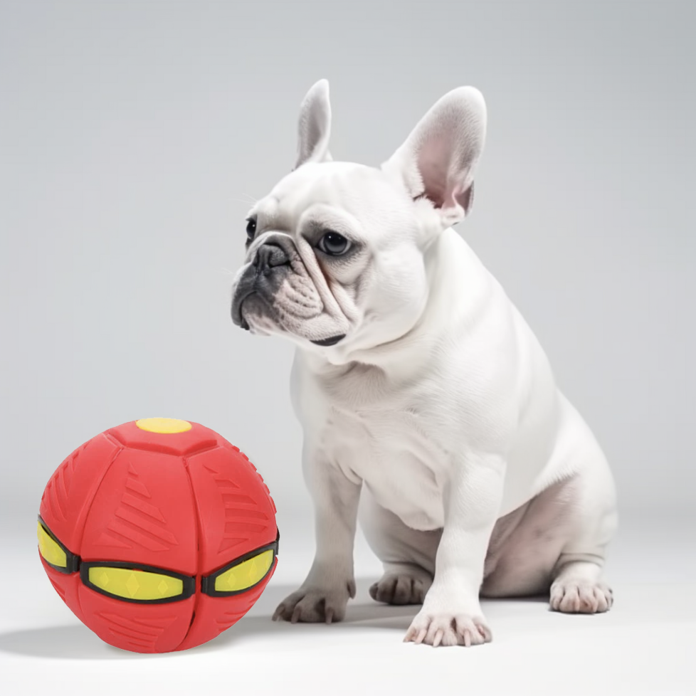 Frenlite French Bulldog Interactive Toy for Outdoor Adventures-fadou