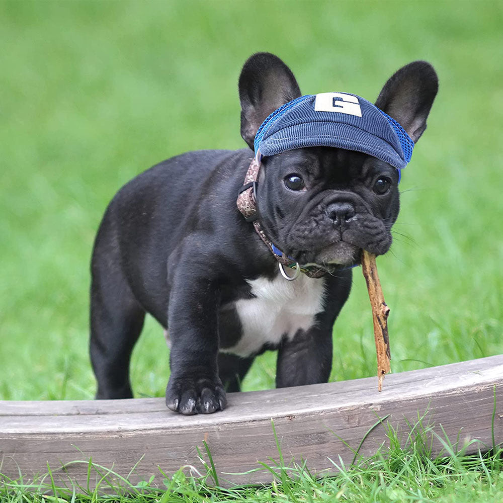 French Bulldog Baseball Cap Sun Protector for Small Breeds-fadou