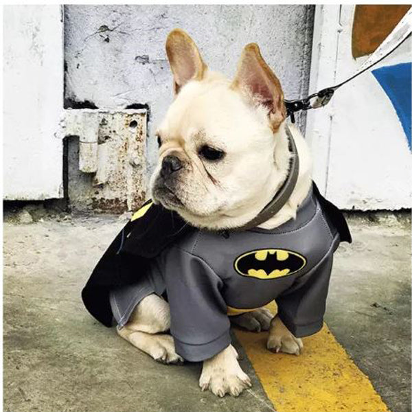 French Bulldog BatFrenchie Cosplay Clothes for Flat-Face Breeds-fadou
