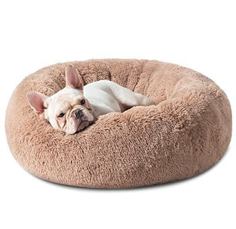 Donutly™: Anti-Anxiety French Bulldog Bed for Stocky Dogs-fadou