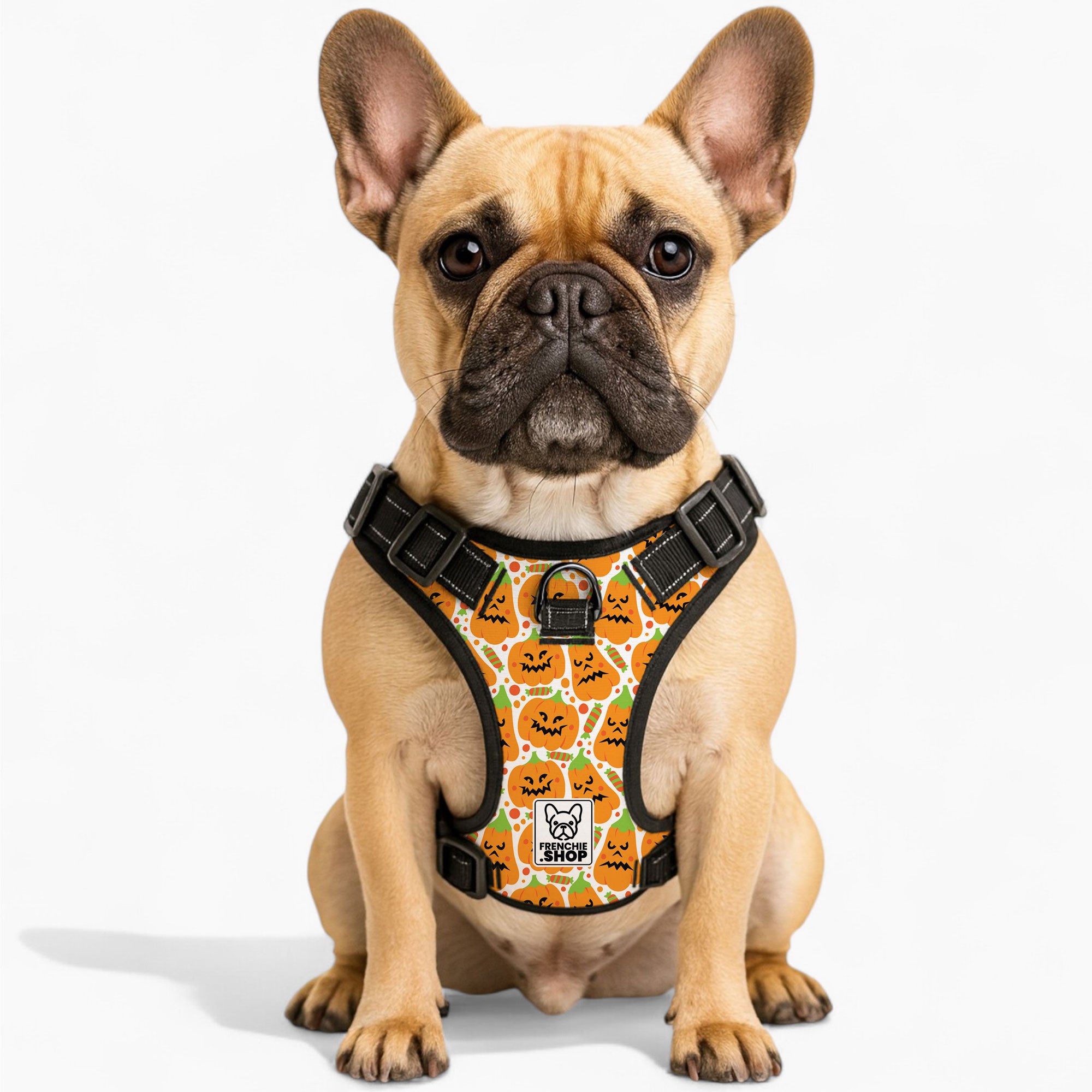Louie French Bulldog Chest Harness for Training Sessions-fadou