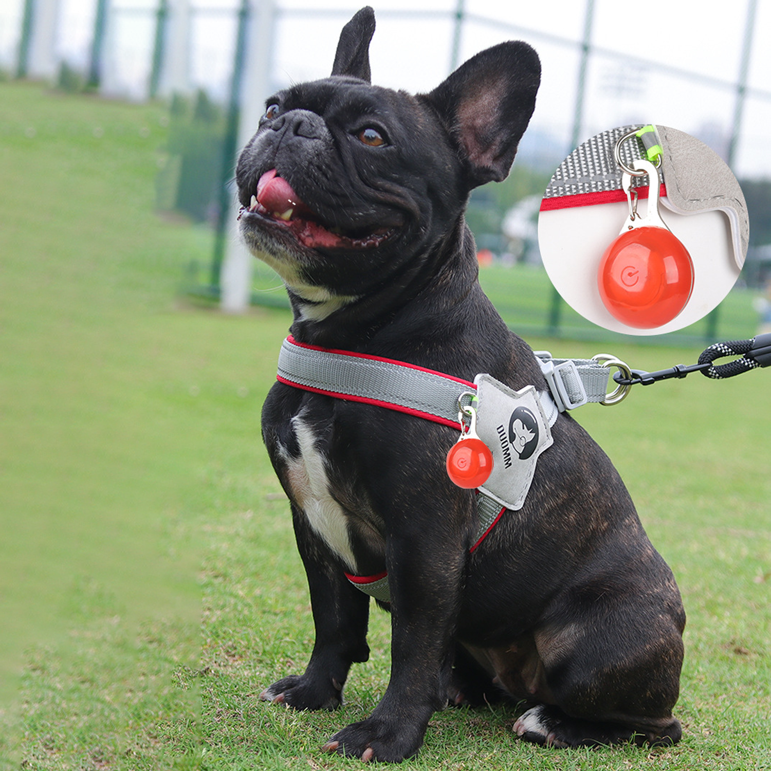 French Bulldog Reflective No-Pull Vest for Flat-Face Breeds-fadou