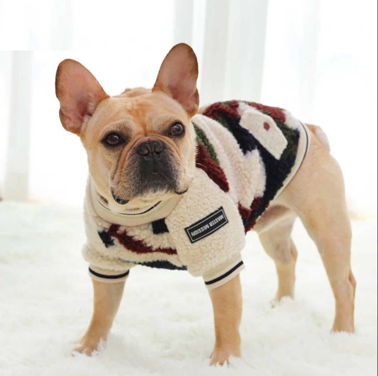 French Bulldog Winter Winter Jacket for Training Sessions-fadou