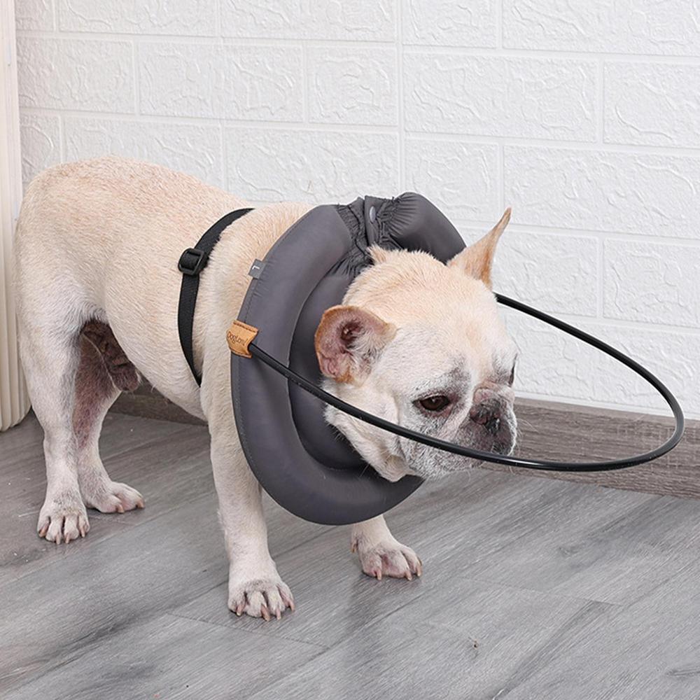 Frenchie Swim Jacket - ReflectiveAdjustable Summer Swim Vest