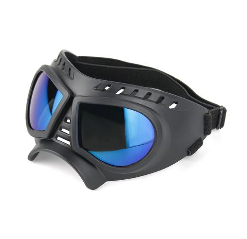 French Bulldog Windproof Pet Product for Training Sessions-fadou