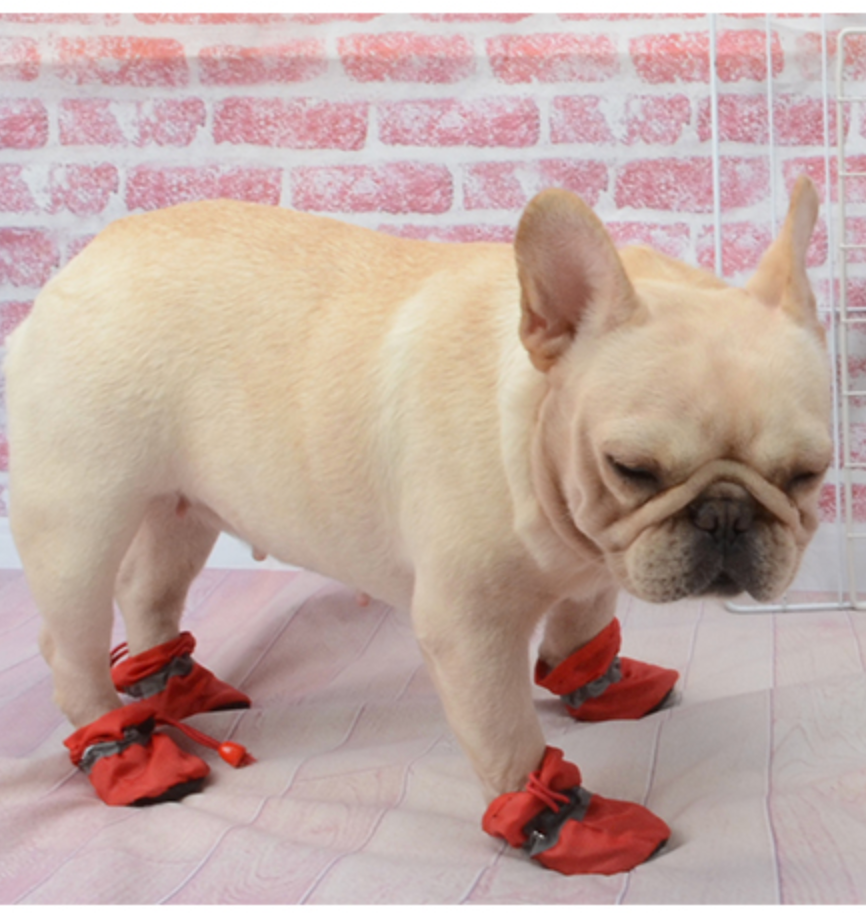 French Bulldog Warm Fashion Boots for Frenchie Enthusiasts-fadou