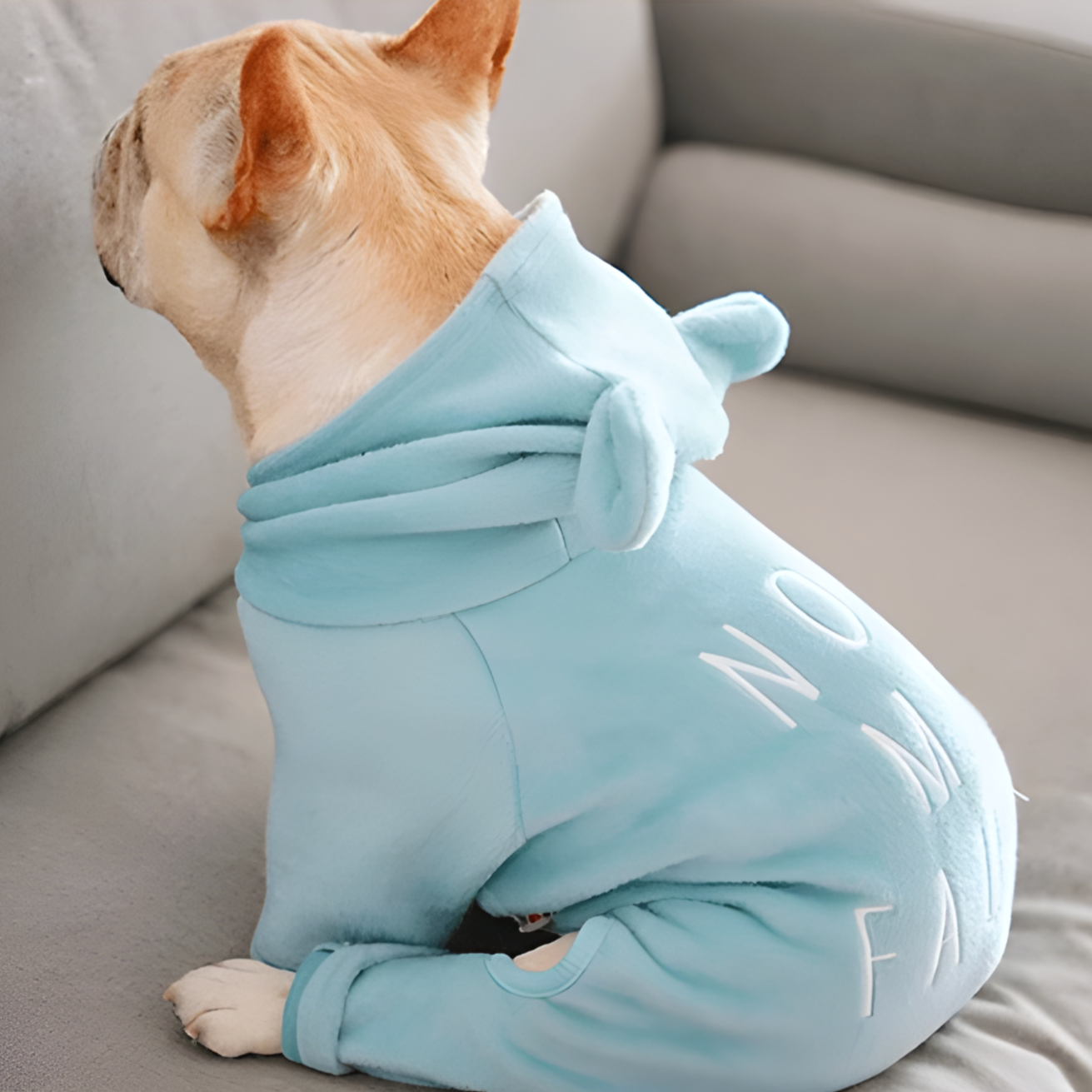 Not French Bulldog Pet Parent Pullover for Dog Park Days-fadou