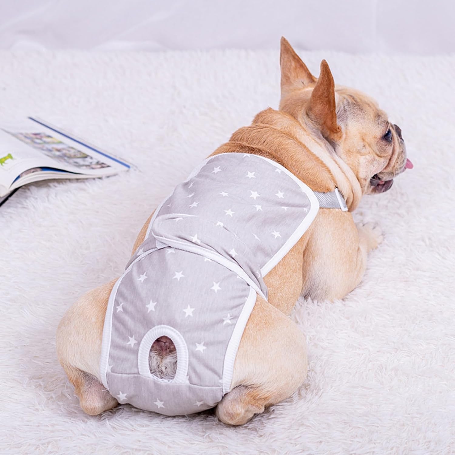 French Bulldog Absorbent Underwear for Flat-Face Breeds-fadou