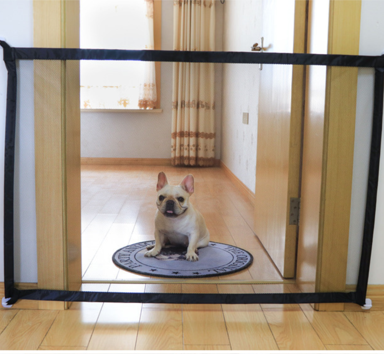 Magic French Bulldog Accessory for Frenchie Enthusiasts-fadou