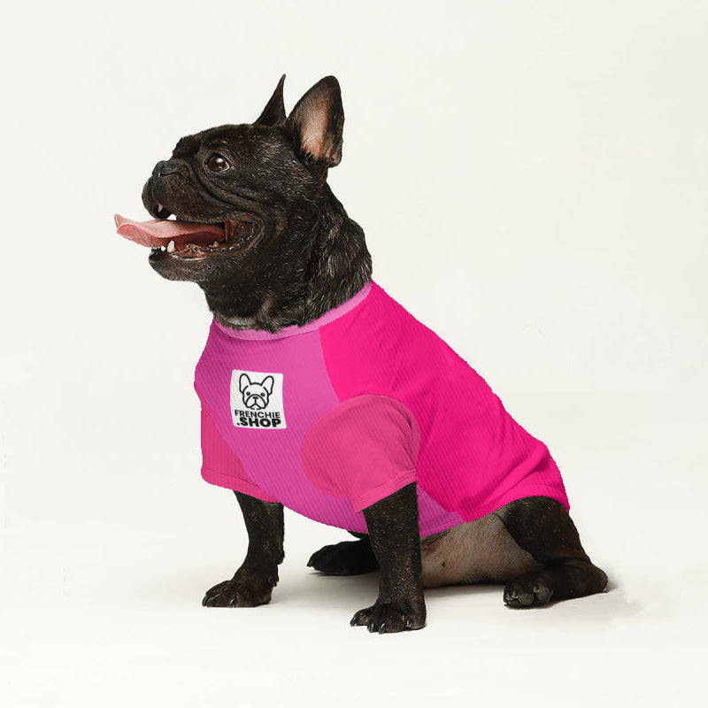 Sonny French Bulldog Pet Sweater for Outdoor Adventures-fadou