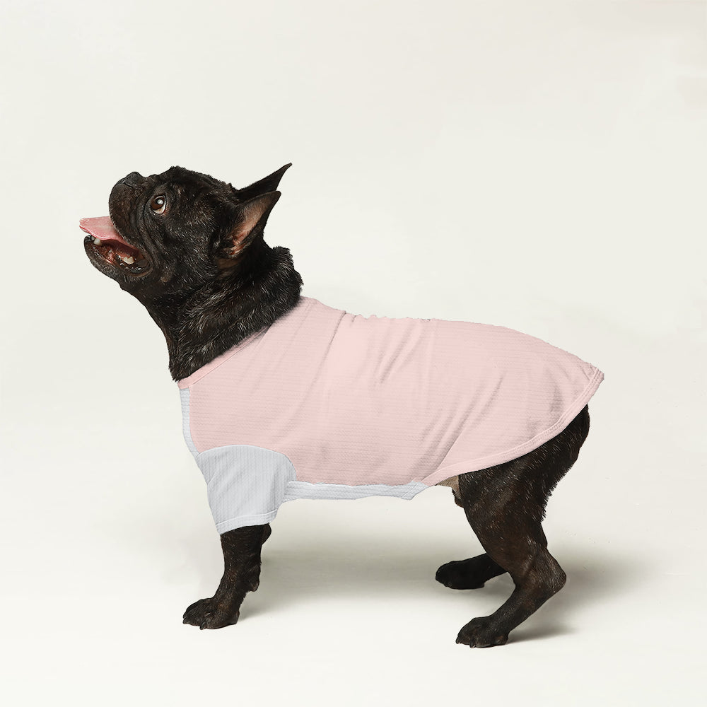 Rollo French Bulldog Knit Sweater for Training Sessions-fadou