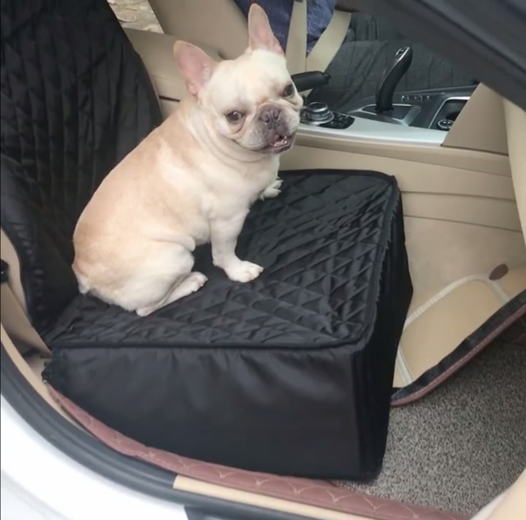 Waterproof Waterproof Accessory for Frenchie Enthusiasts-fadou