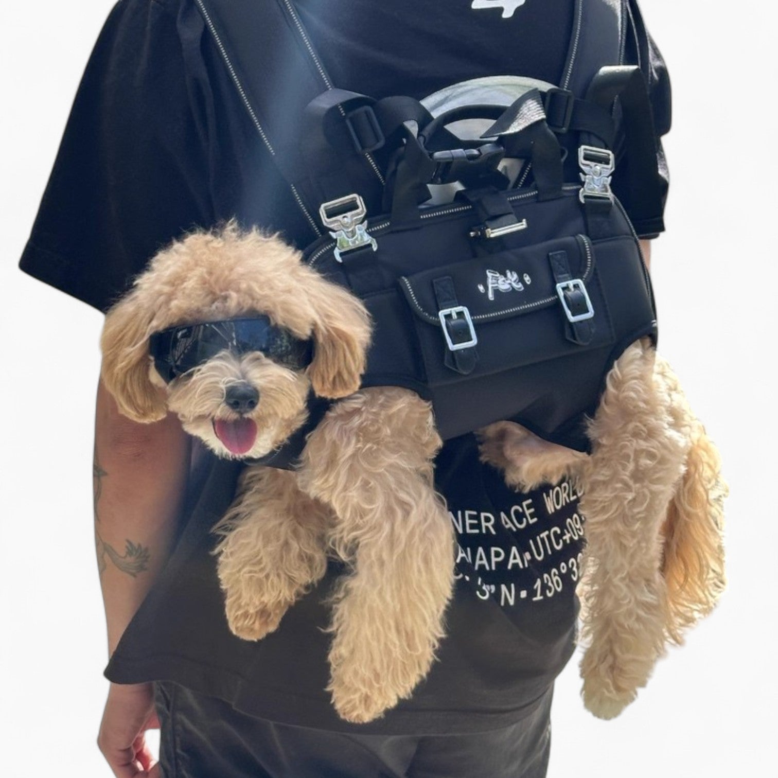 CarryPaw™ Side Carry Dog Backpack – Carrier for for French Bulldogs-fadou