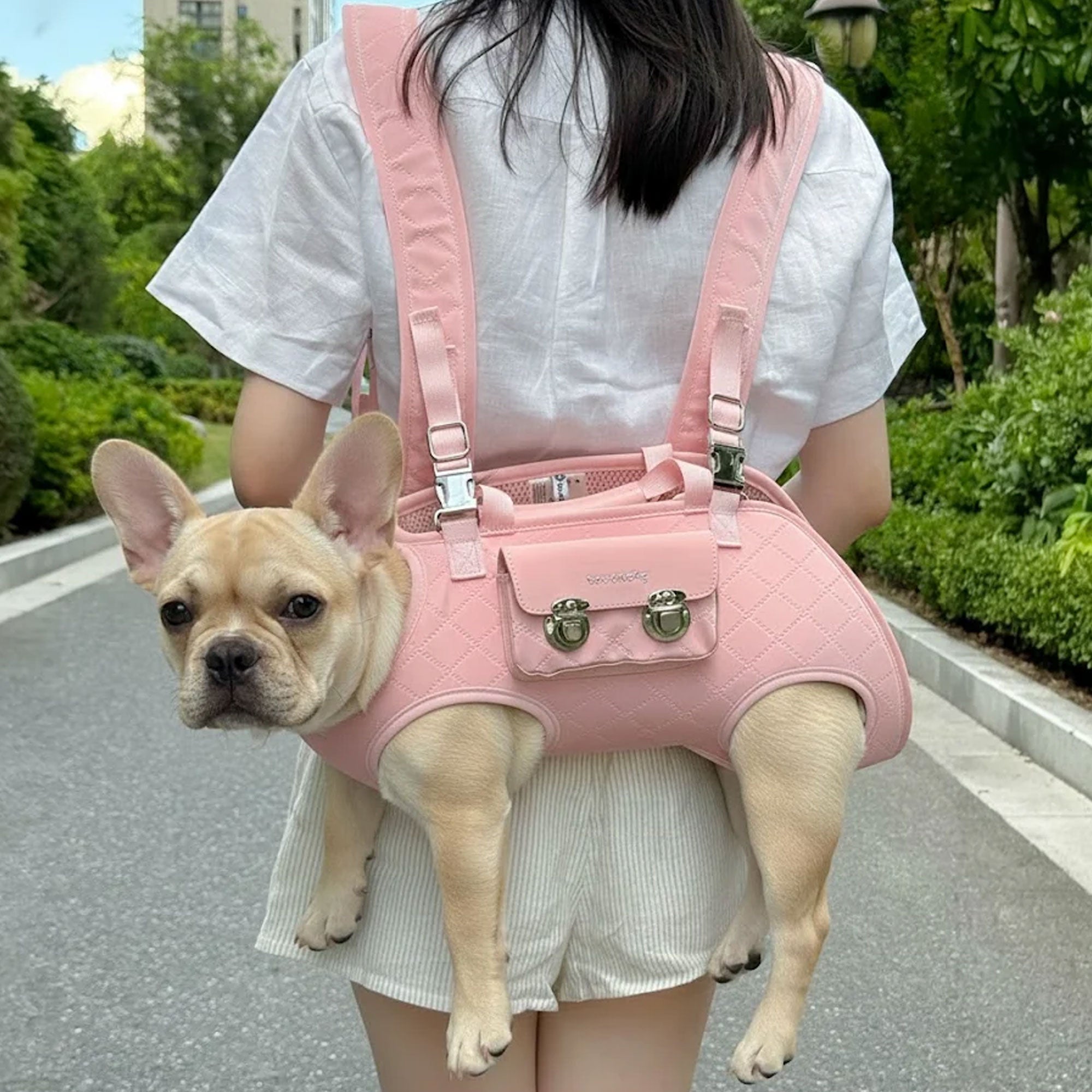 French Bulldog Breathable Travel Sling for Training Sessions-fadou