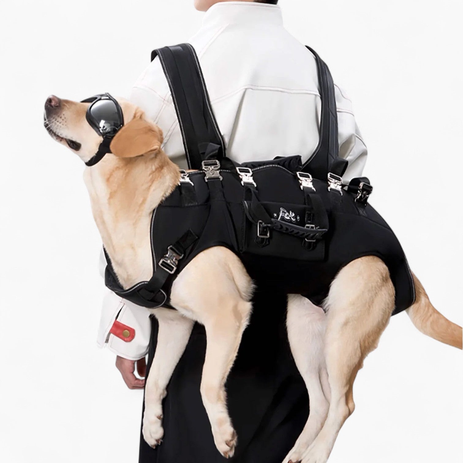 CarryPaw™ Side Carry Dog Backpack – Carrier for for French Bulldogs-fadou