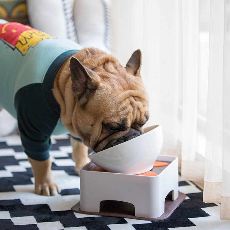 French Bulldog Ceramic Food Dish for Outdoor Adventures-fadou