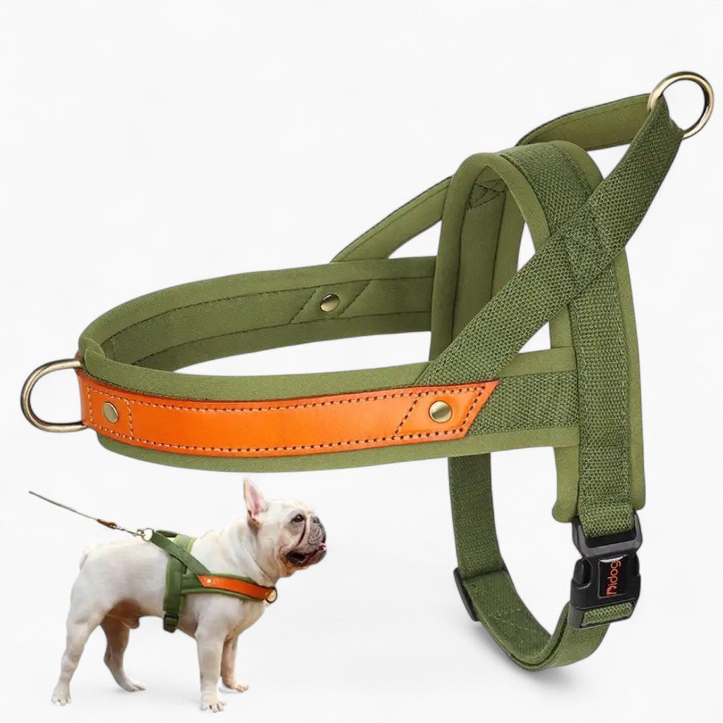 French Bulldog No-Pull Chest Harness for French Bulldogs-fadou