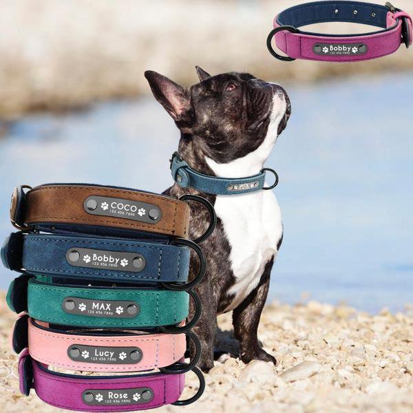 French Bulldog Personalized Neck Collar for Outdoor Adventures-fadou