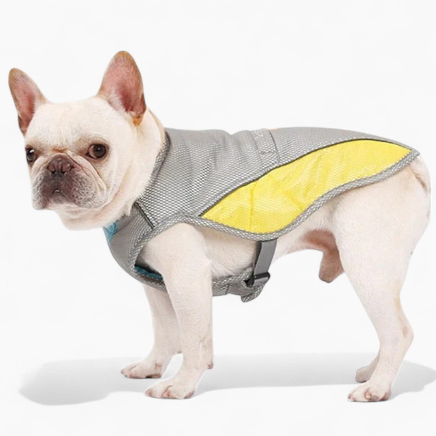 Coolify™ : Cooling Vest for Frenchie for Dog Moms & Dads-fadou