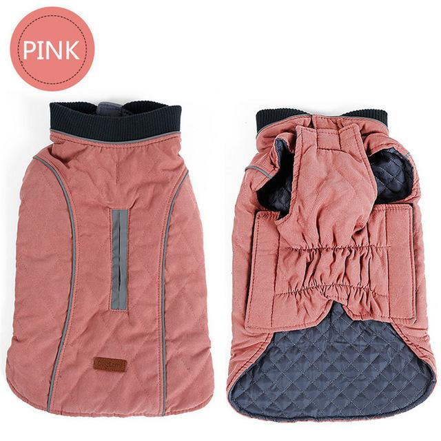 Cooper Jacket - Frenchie Waterproof Jacket for Frenchie Fans-fadou