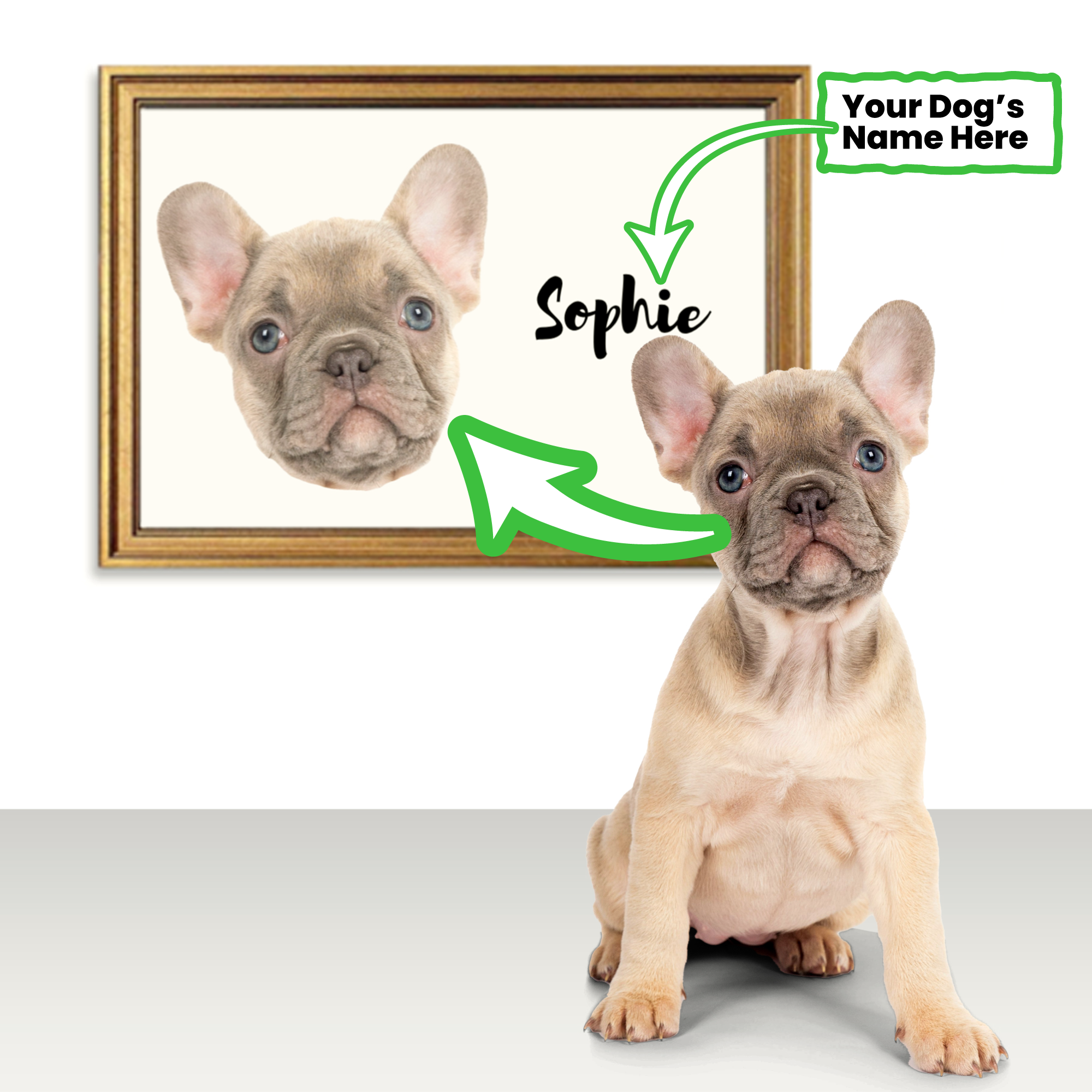 Frenchie Personalized Canvas Wall Art for Dog Park Days-fadou