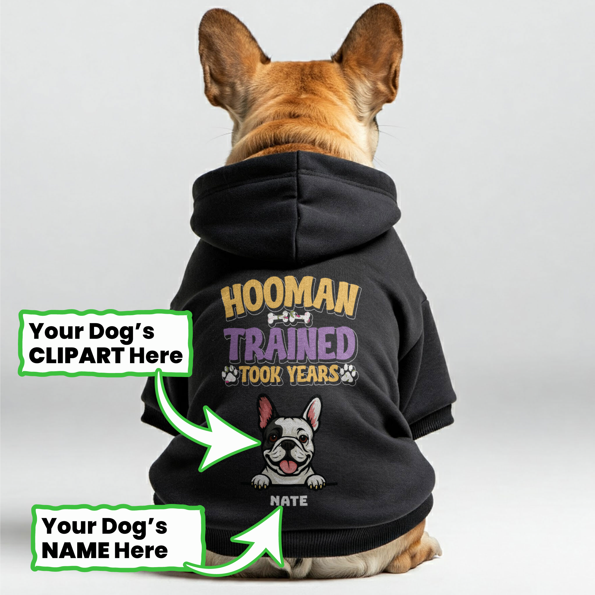 French Bulldog Premium Pet Sweatshirt for Training Sessions-fadou