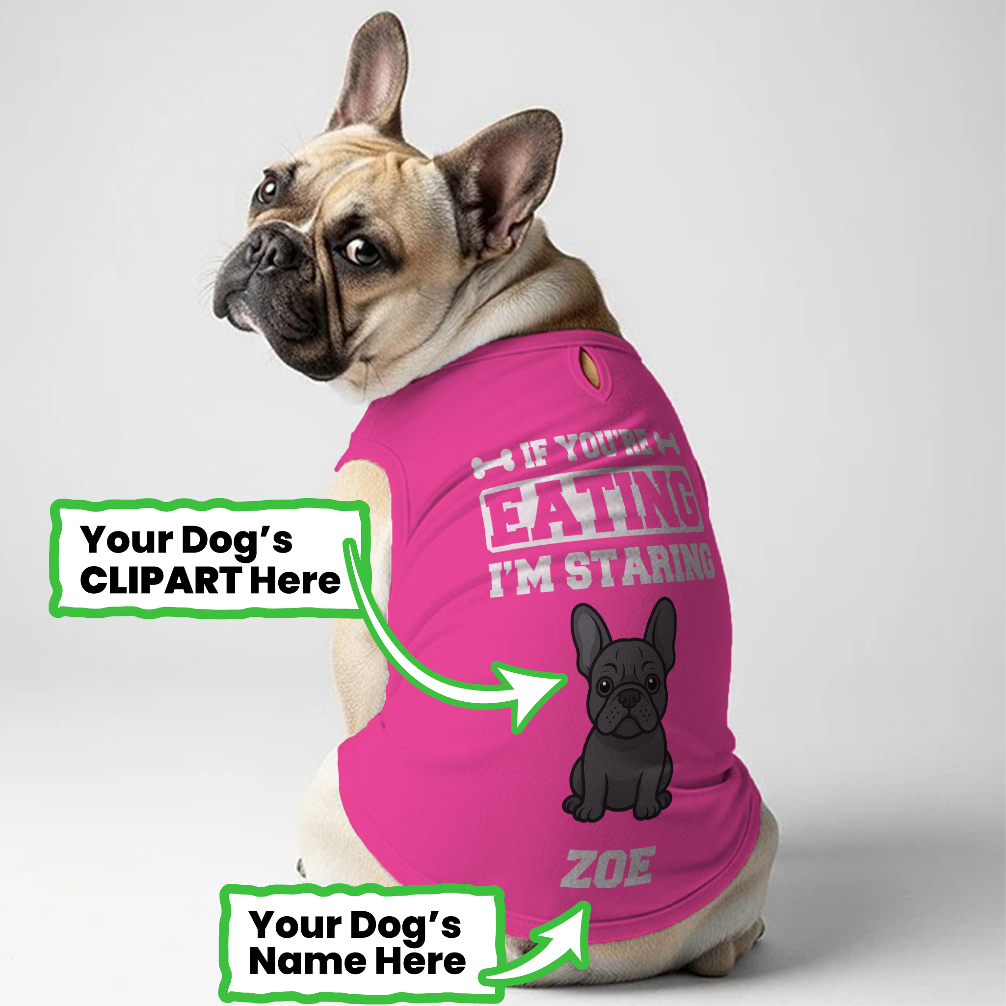 French Bulldog Personalized Unisex Shirt for Frenchie Fans-fadou