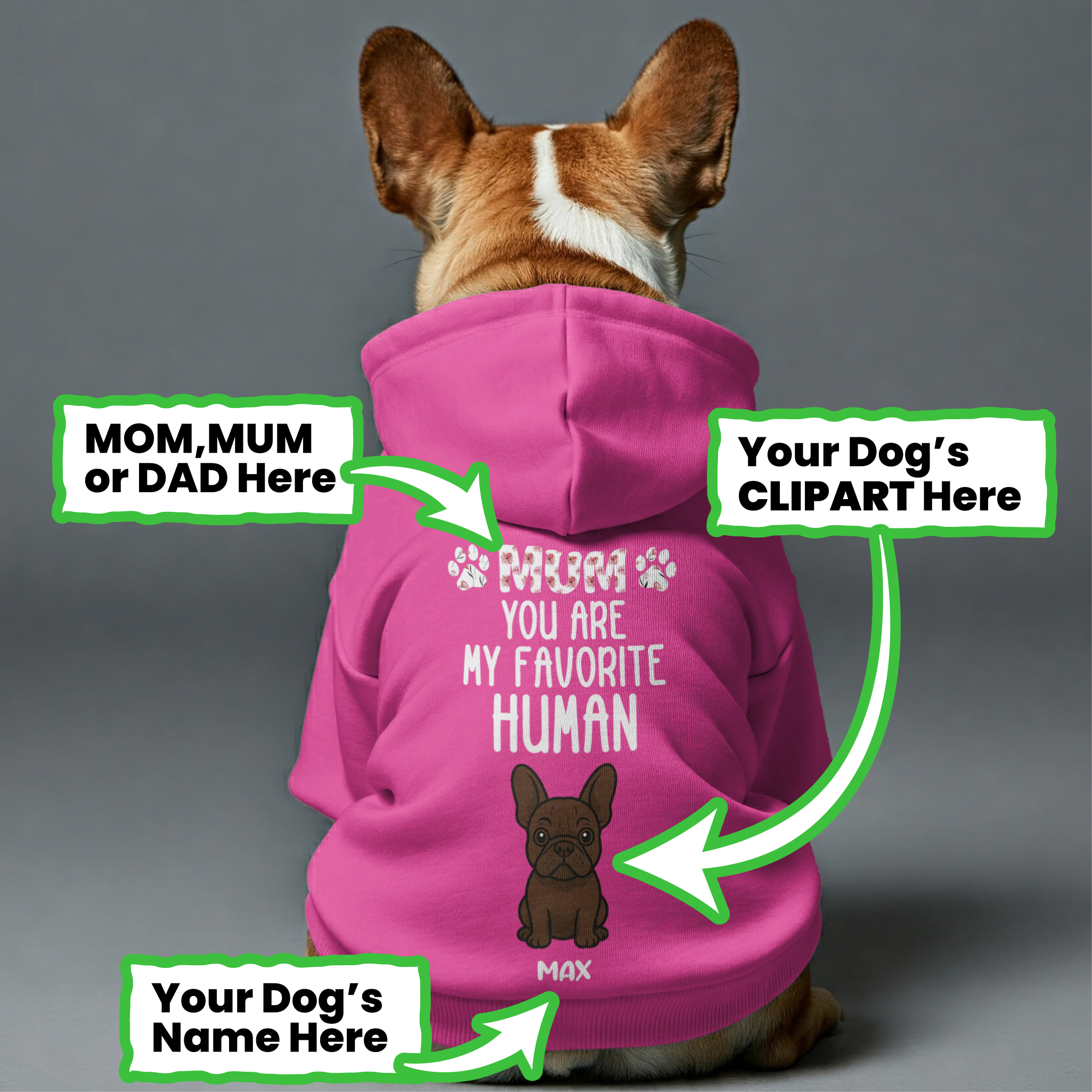 French Bulldog Custom Cozy Hoodie for Brachycephalic Dogs-fadou
